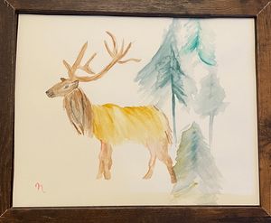Elk in Pines